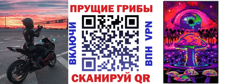 Купить где  Данилов  Псилоцибиновые грибы Magic Shrooms 