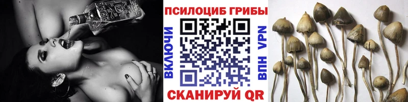 Галлюциногенные грибы Magic Shrooms Данилов